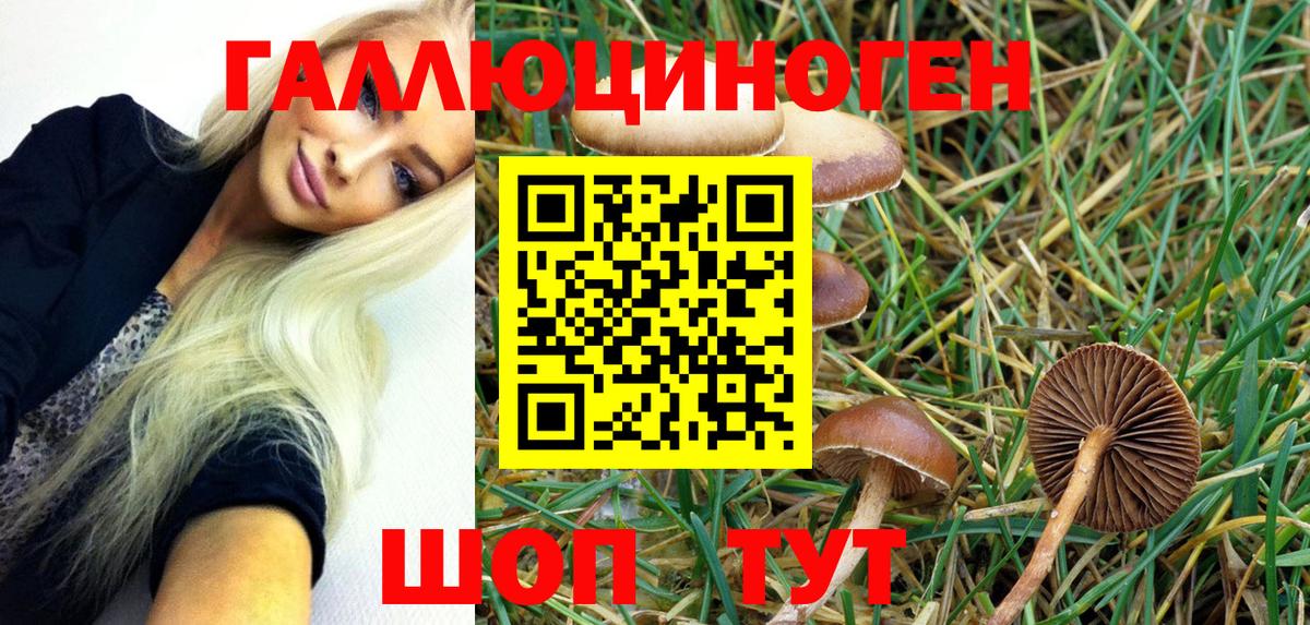 Галлюциногенные грибы MAGIC MUSHROOMS Бугуруслан
